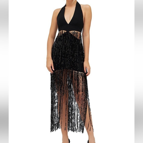 RASARIO Sequinned Fringe Dress in Crepe - Picture 4 of 15